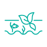Aquascaping
