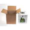 SHRIMP SET SMART D&N 30 CZARNY ECOM