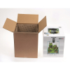 SHRIMP SET SMART D&N 10 CZARNY ECOM