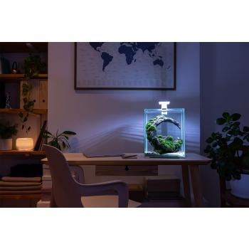 SHRIMP SET SMART D&N 30 CZARNY