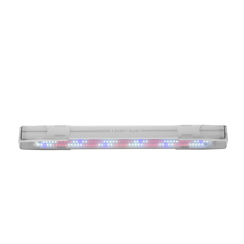 LEDDY SLIM 32W PLANT BIAŁY 2.0