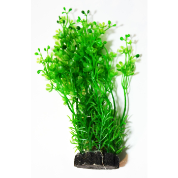 ROŚLINA KĘPKOWA CP-057  6 (15CM)