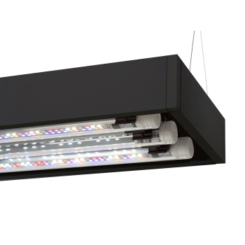 ZESTAW AKW. ULTRASCAPE 60 FOREST SET