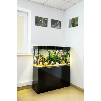 SZAFKA GLOSSY 100 CZARNA