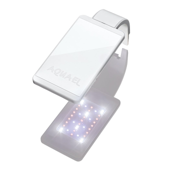 LEDDY SMART 4,8W PLANT D&N BIAŁY