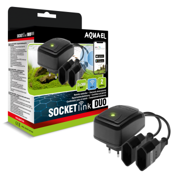 SOCKET LINK DUO