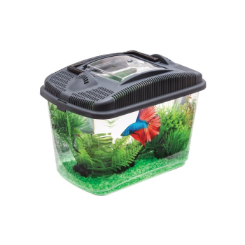 BETTA KIT
