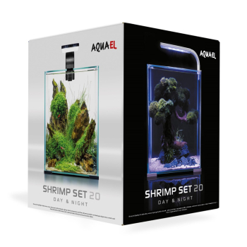 SHRIMP SET SMART D&N 20 BIAŁY