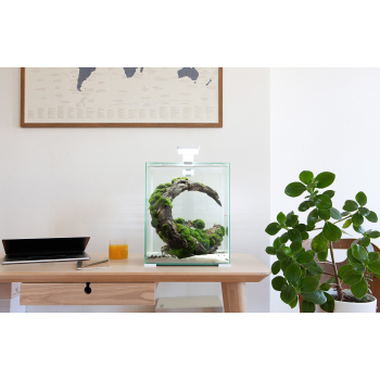 SHRIMP SET SMART D&N 20 BIAŁY