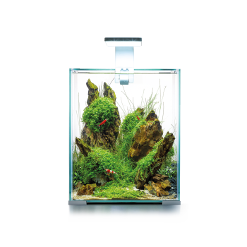 SHRIMP SET SMART D&N 20 BIAŁY