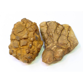 Skała Shell Vein Rock Yellow